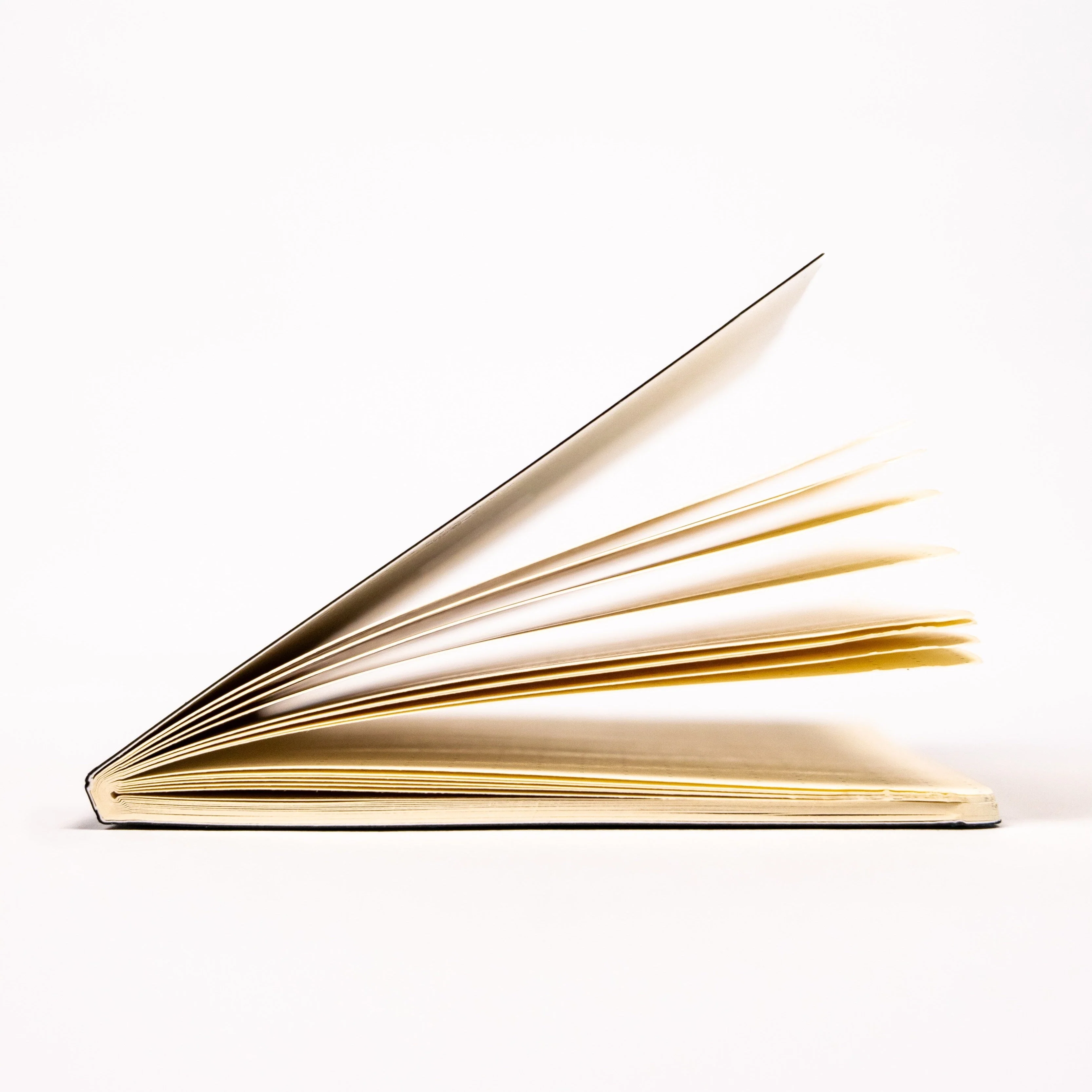 Everyday Notebook 3-Pack - Image 9