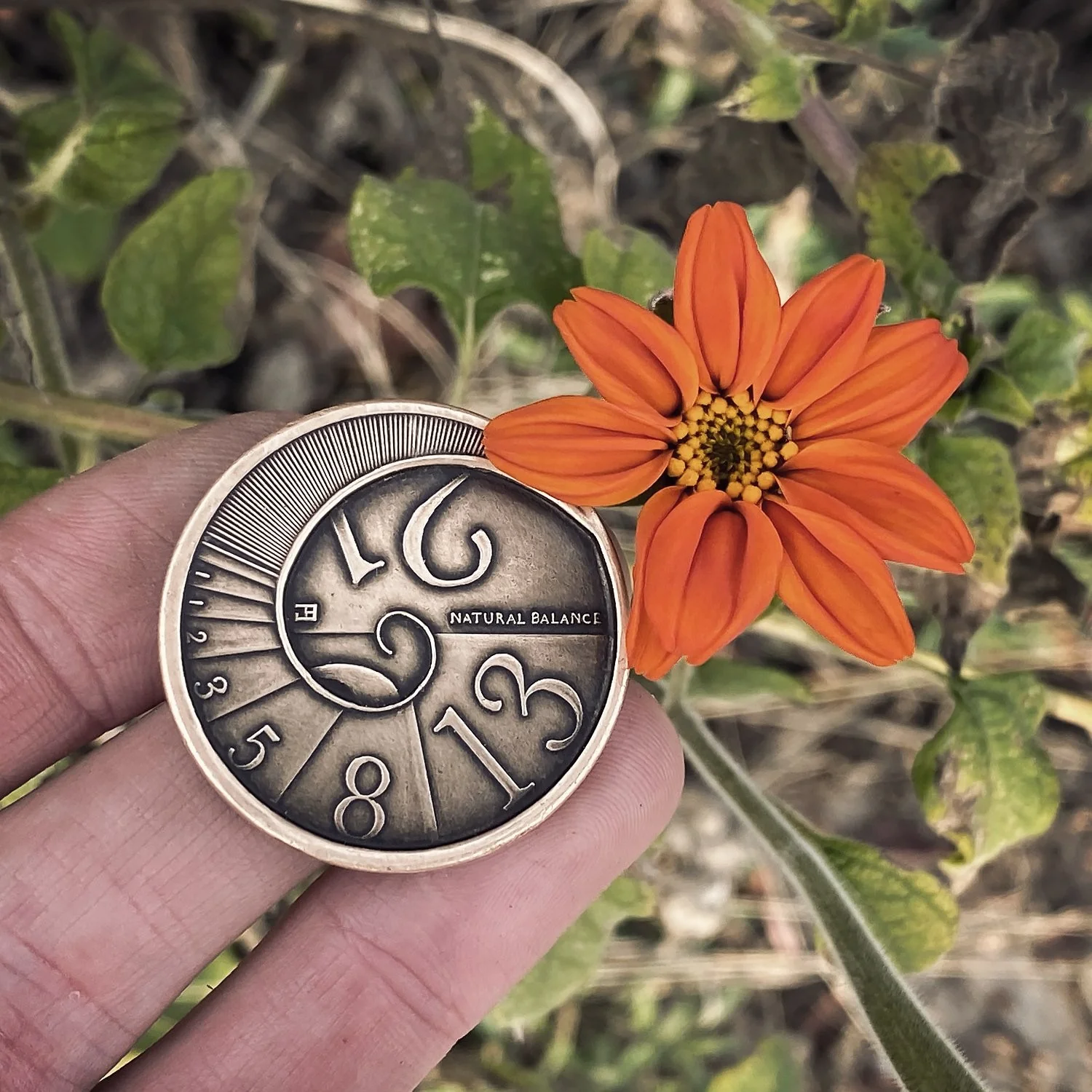 Fibonacci Coin - Image 3