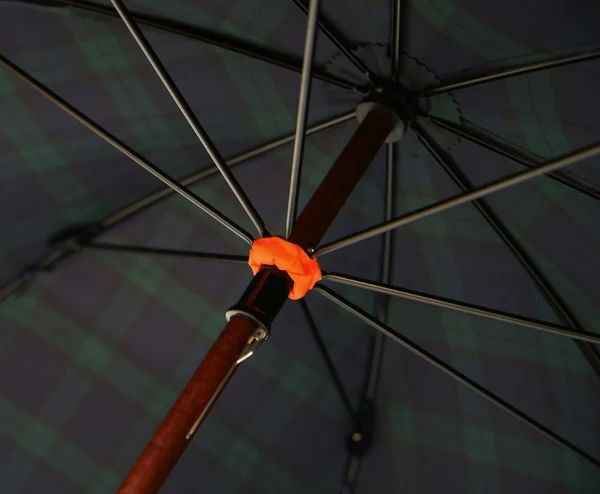 Classic Umbrella - Image 17