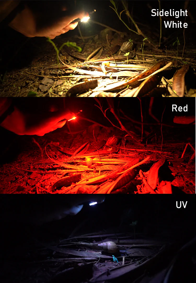 Angel Eyes E80 Flashlight - Image 15