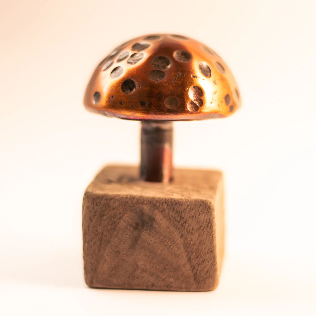 Copper Mushroom - Image 4