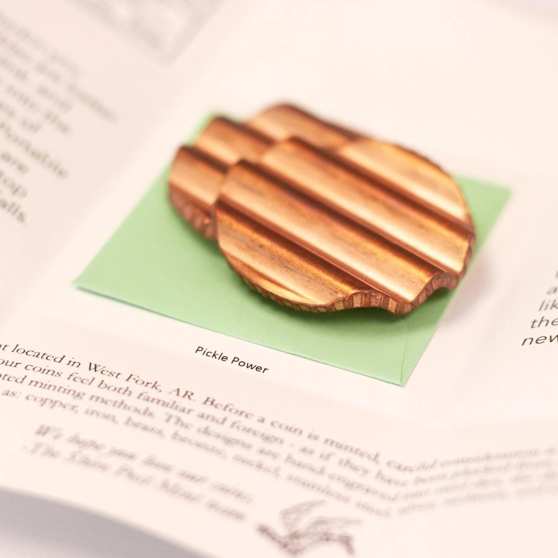 Sliding Pickle Chips - Image 3