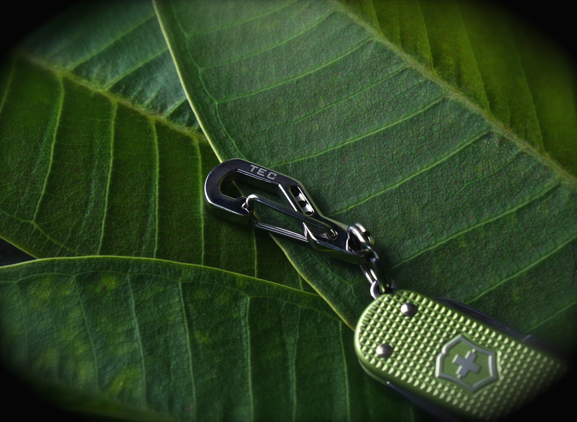 Python Clip - Image 8